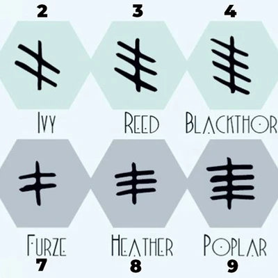 trắc nghiệm ký tự ogham
