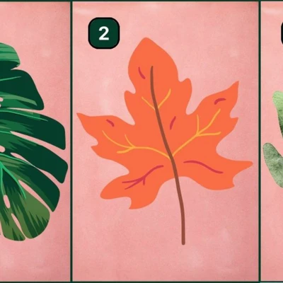trắc nghiệm chiếc lá