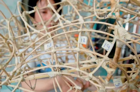 che-tac-lan-su-rong-vinh-quang-tham-lang-3