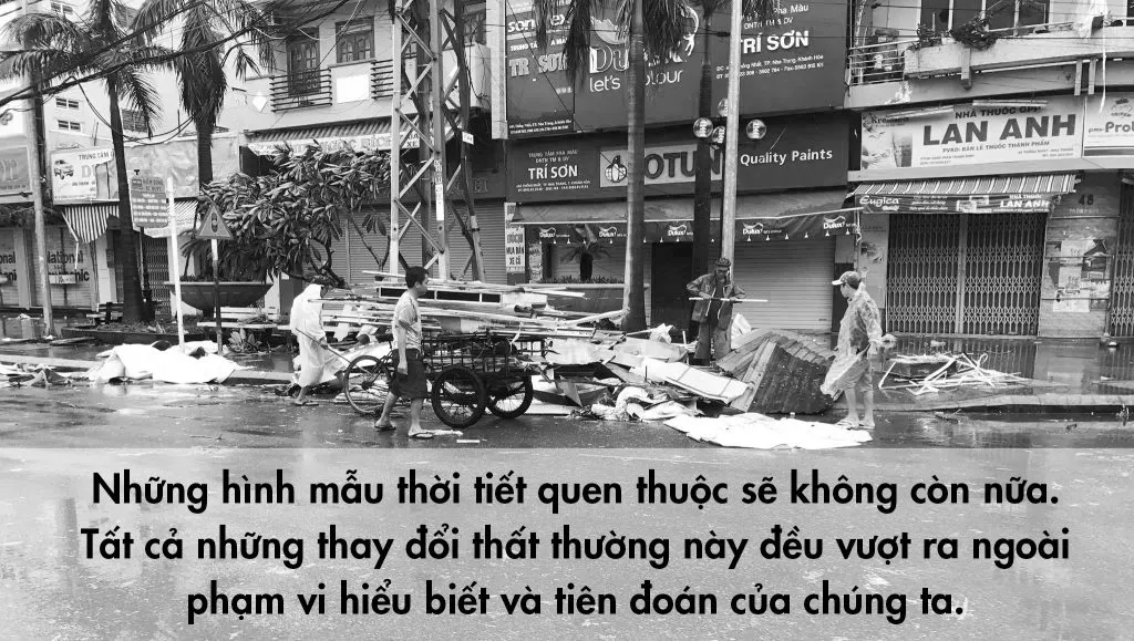 bao damrey