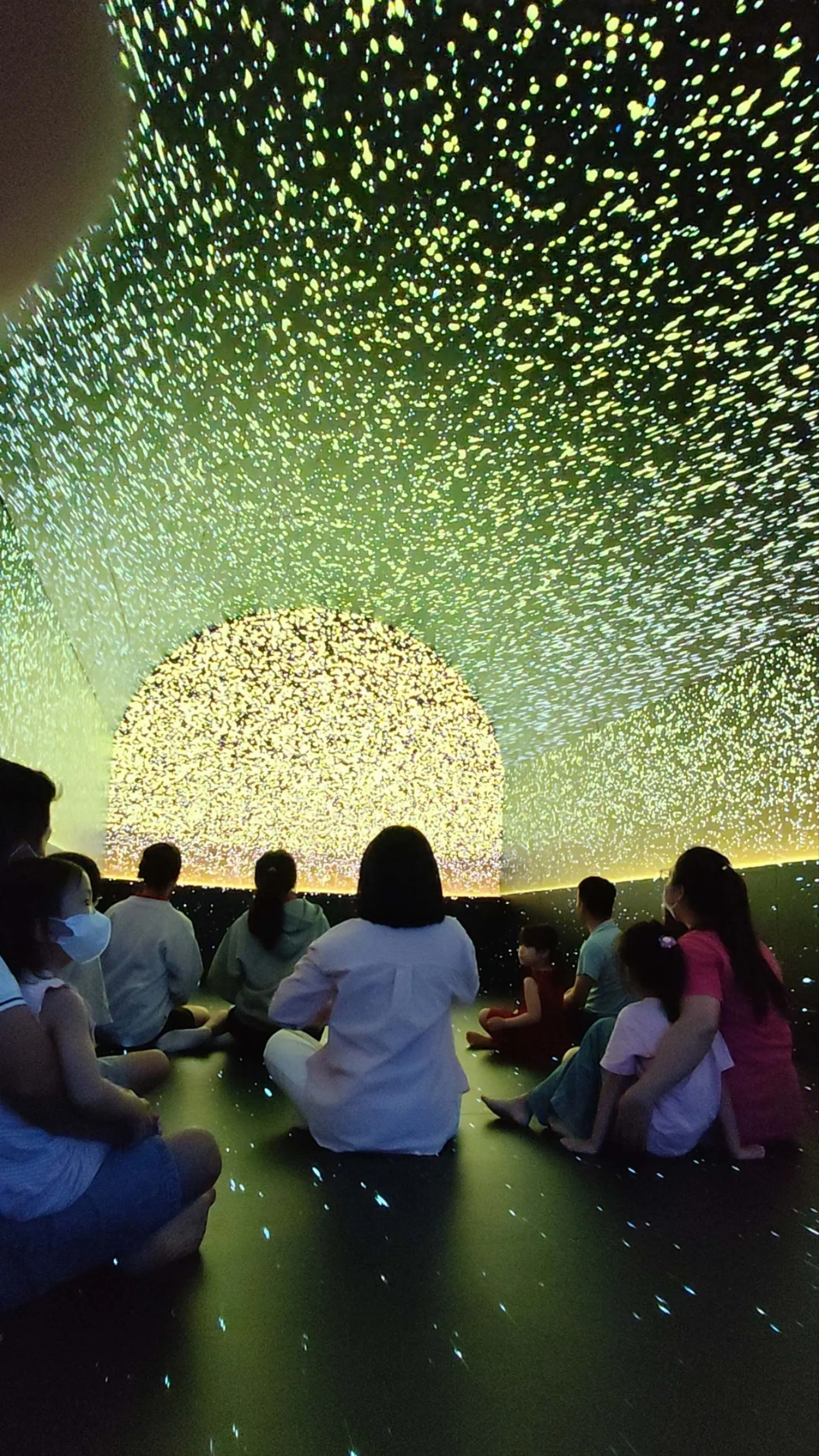 Tổ hợp Công nghệ & Nghệ thuật IMMERSIVE 12D+