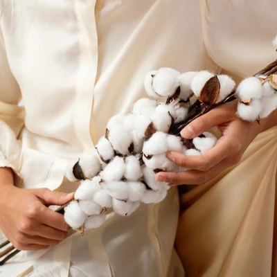 Sợi cotton hữu cơ bền vững