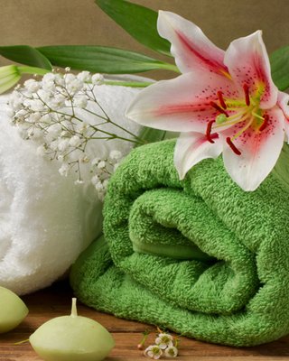 dich vu spa tieu chuan
