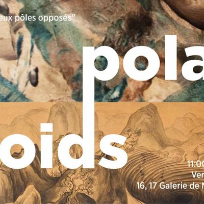 polar voids triển lãm nghệ thuật