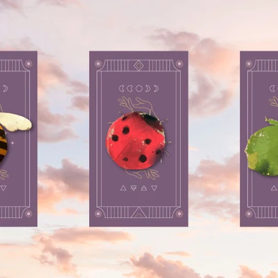 trải bài tarot tuần mới 20/3 = 26/3