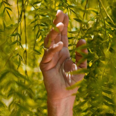 lối sống bền vững 0