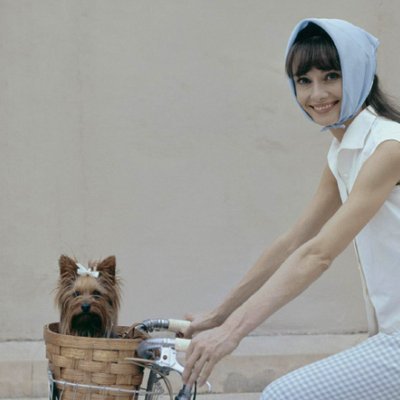 học cách mặc đẹp với khăn bandana từ audrey hepburn
