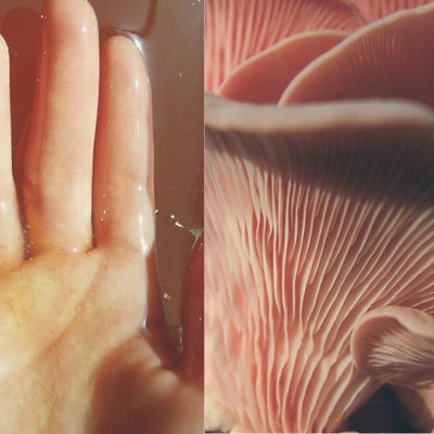 Ảnh Instagram thương hiệu Chloé