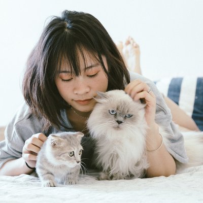 hoạt động giúp cải thiện sức khỏe tinh thần