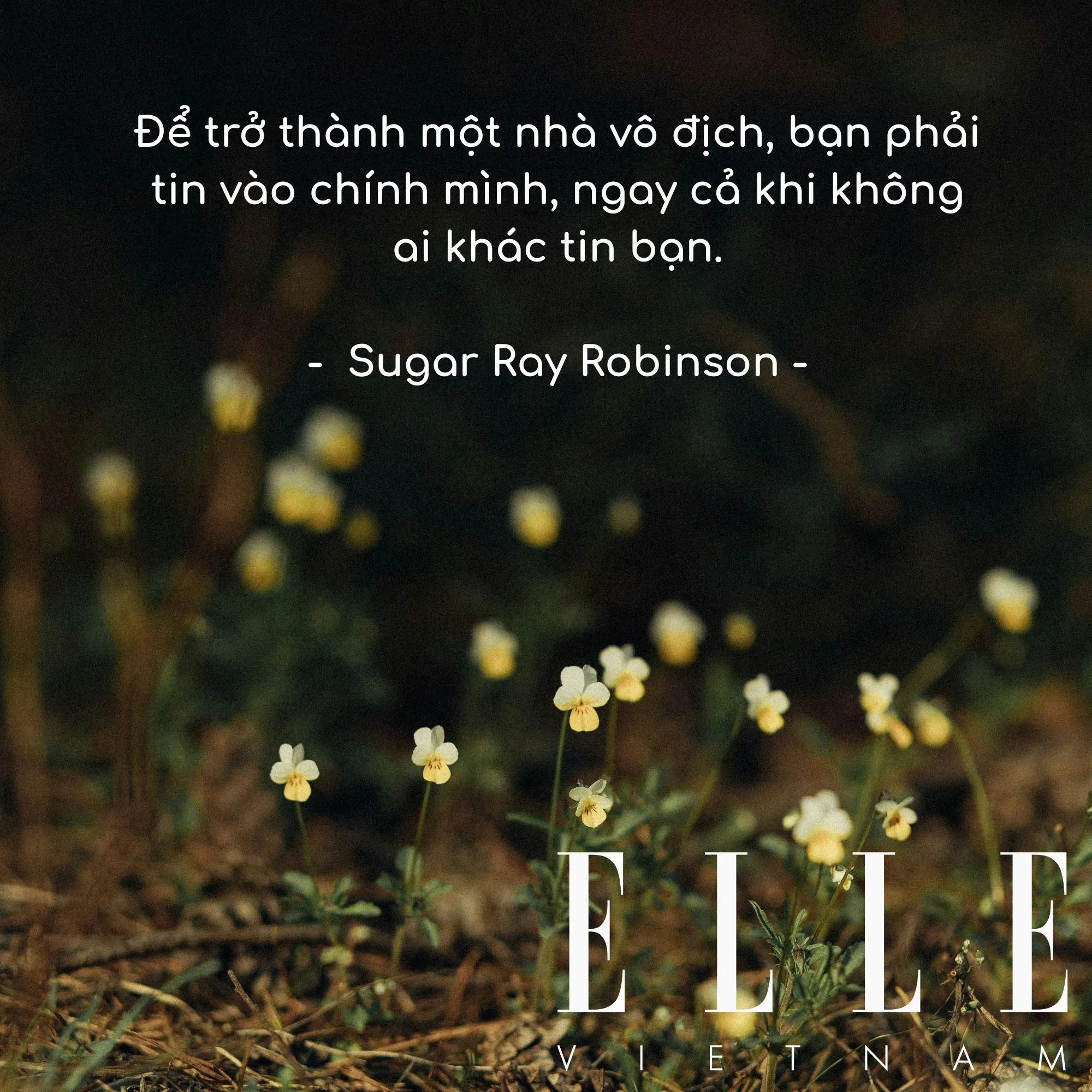 câu nói hay truyền động lực của Sugar Ray Robinson, võ sĩ quyền Anh chuyên nghiệp người Mỹ.