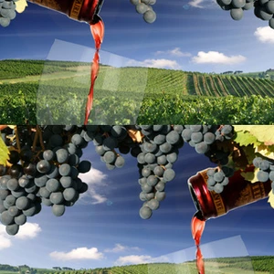 Liên hoan ẩm thực rượu vang tại Việt Nam