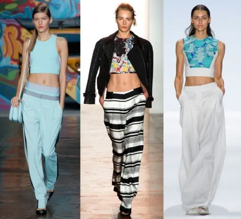5-crop-top-va-quan-suong-8734-1382414460