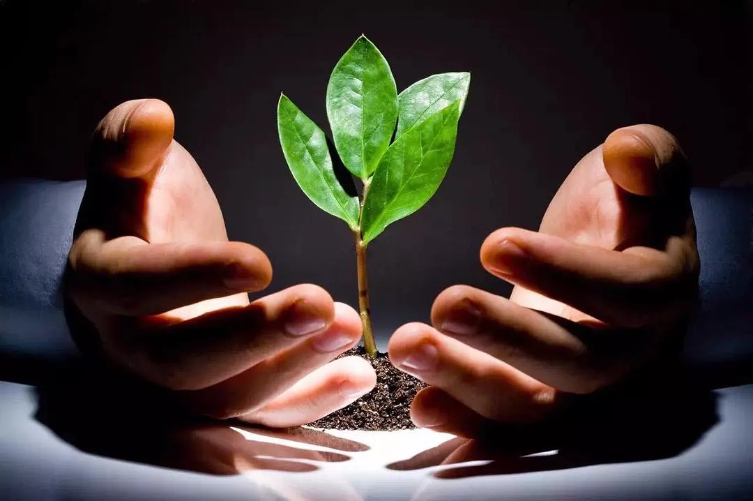 luật nhân quả - gieo nhân nào gặt quả nấy - elle vietnam