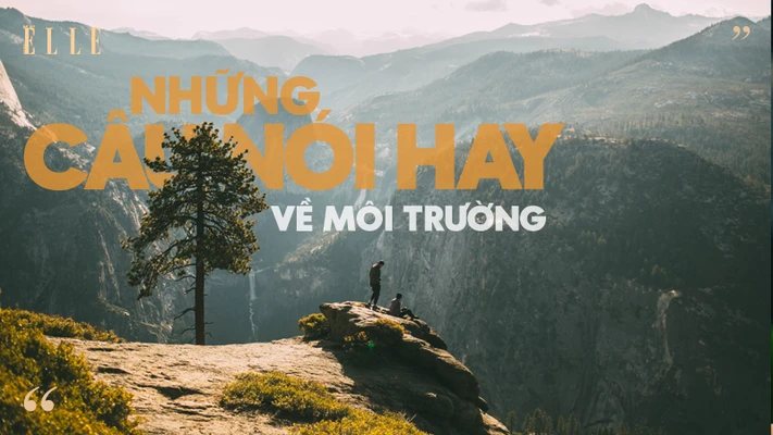môi trường