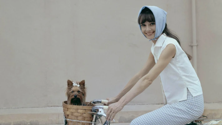 học cách mặc đẹp với khăn bandana từ audrey hepburn