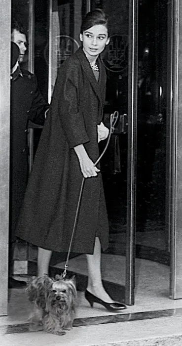 audrey 6