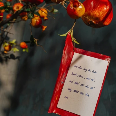 Câu chúc Tết Bính Ngọ 2026