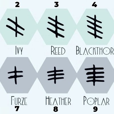 trắc nghiệm ký tự ogham