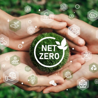 mỹ phẩm net zero