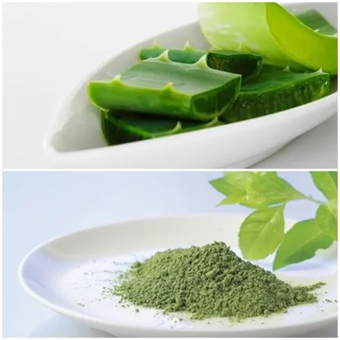 cach-tri-mun-hieu-qua-bang-nha-dam-va-tra-xanh-elle-vn