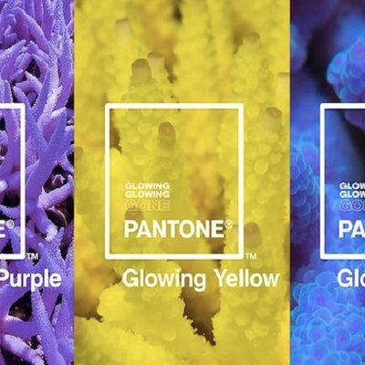 glowing glowing gone pantone ocean agency 4
