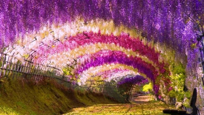  bài viết liên quan 