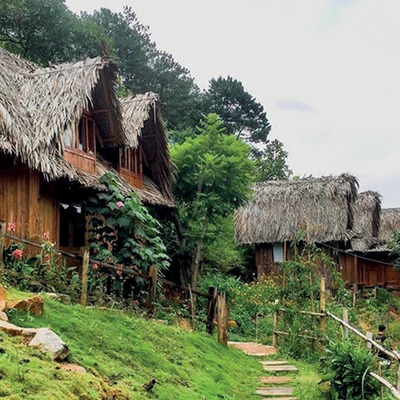 trang trại dành cho tháng 6