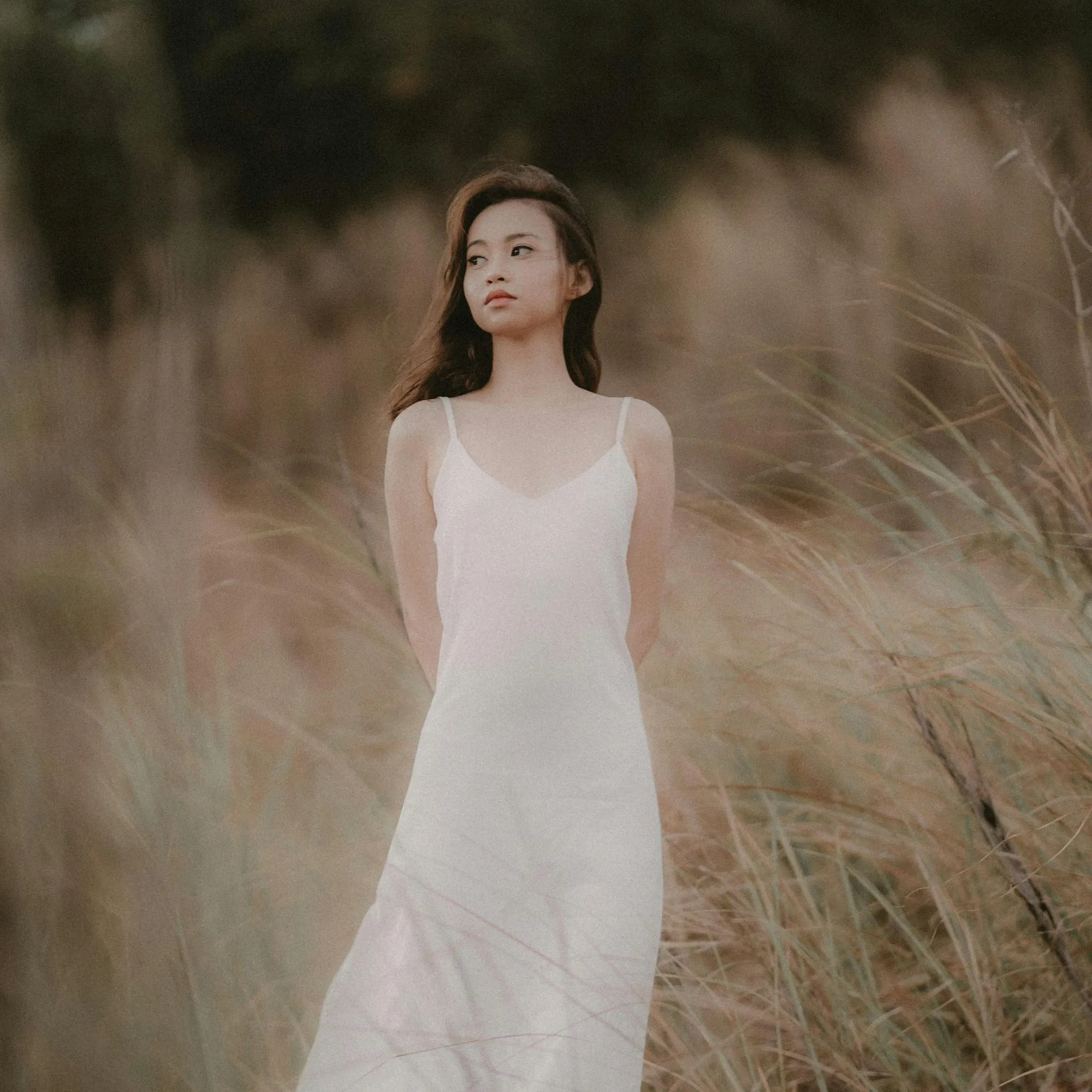 cô gái đứng trên cánh đồng bông lúa có sức hút