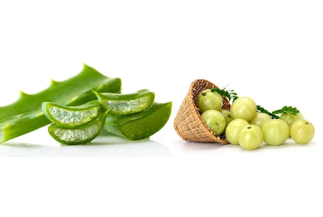 Lô hội, quả lý gai Ấn Độ, bồ kết và bột tử đinh hương 