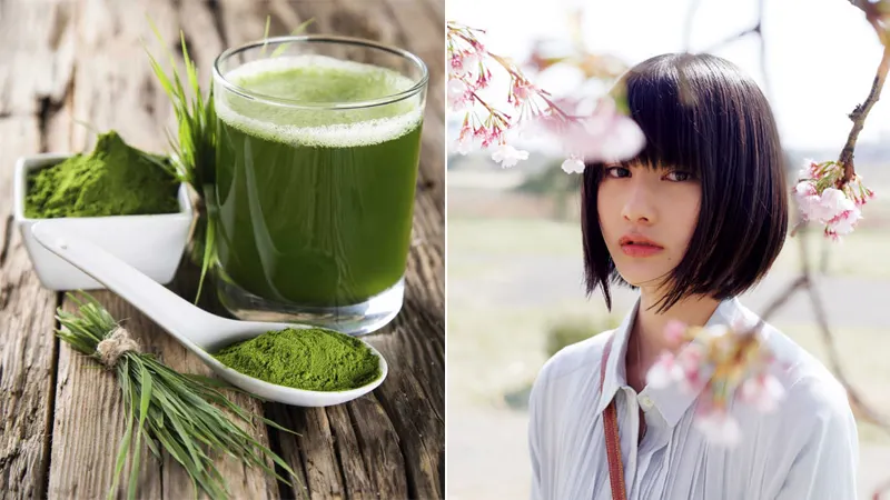 mặt nạ tảo biển chăm sóc da