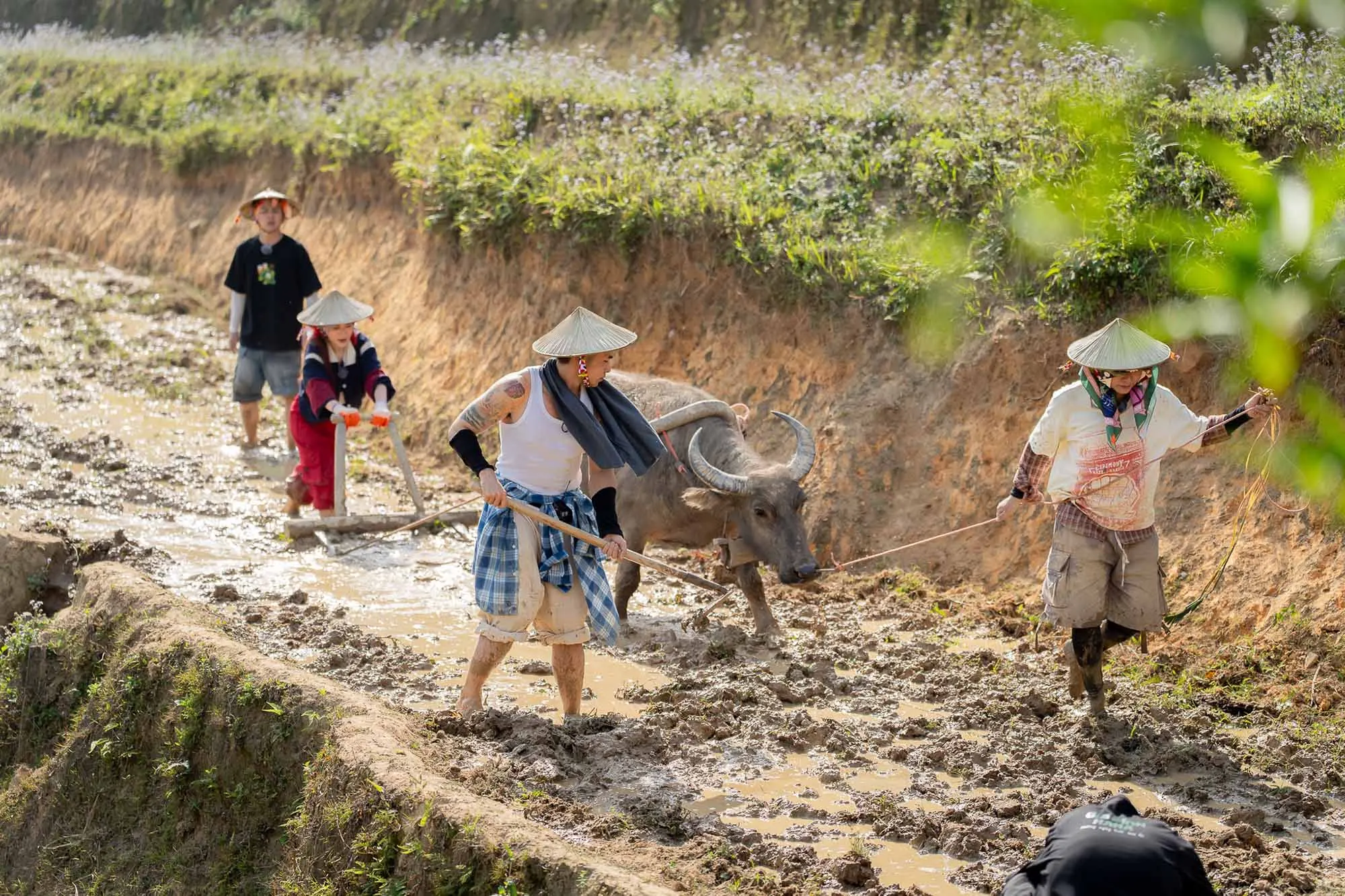 Jun Phạm trong gia đình haha cày ruộng