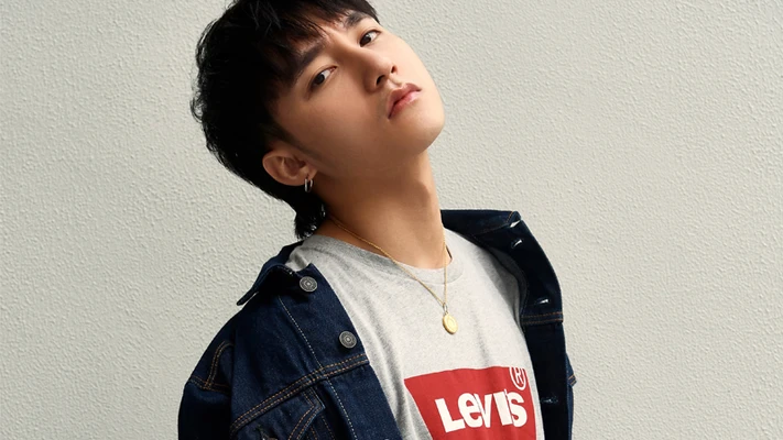Levi's 13