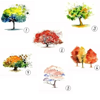 trắc nghiệm chọn cây elle tính cách