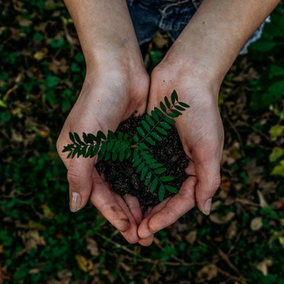 môi trường tổ chức tái chế
