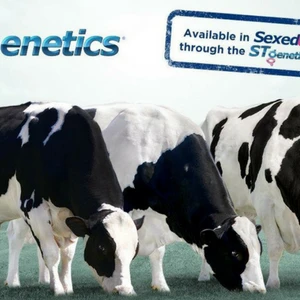 TH true MILK chuẩn bị cho ra mắt dòng sữa A2 giúp tiêu hóa tốt