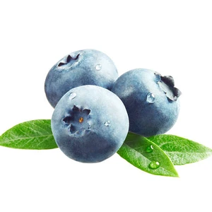 Ăn quả việt quá làm tăng sự gia tăng lưu lượng máu đến các khu vực quan trọng của não thực phẩm