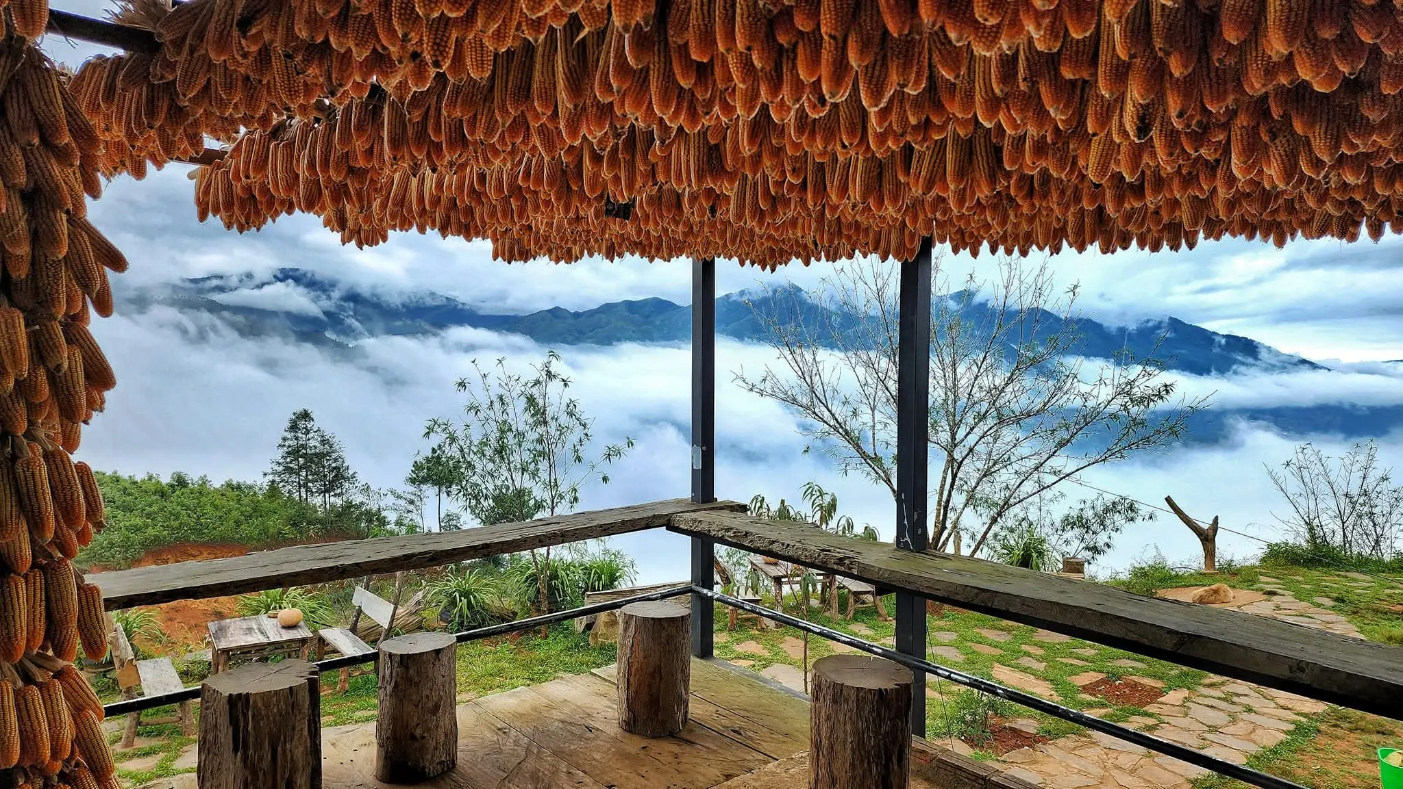 A Su Mù Cang Chải