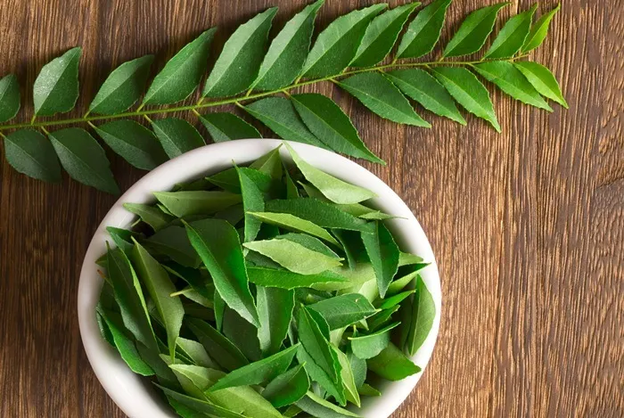 Lá cà ri có những dưỡng chất được xem như một loại thuốc bổ tóc vô cùng hiệu quả