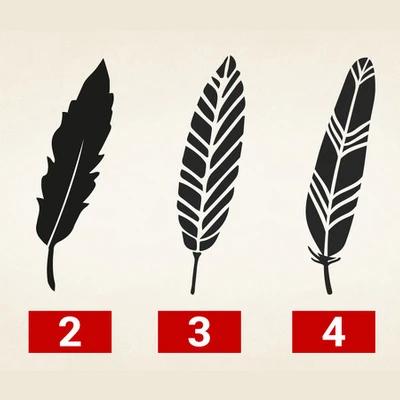 sức mạnh bút lông vũ feature