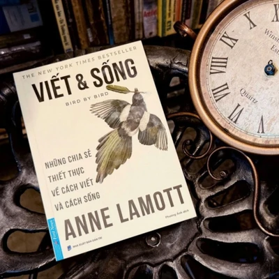 Review sách hay: Viết và Sống của tác giả Anne Lamott.