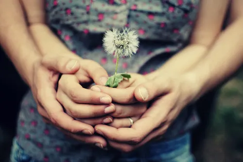 Hãy cùng nhau nắm chặt yêu thương, để mãi mãi chúng ta chẳng bao giờ xa rời