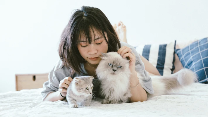 hoạt động giúp cải thiện sức khỏe tinh thần