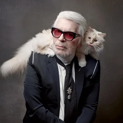 mèo Karl Lagerfeld Choupette