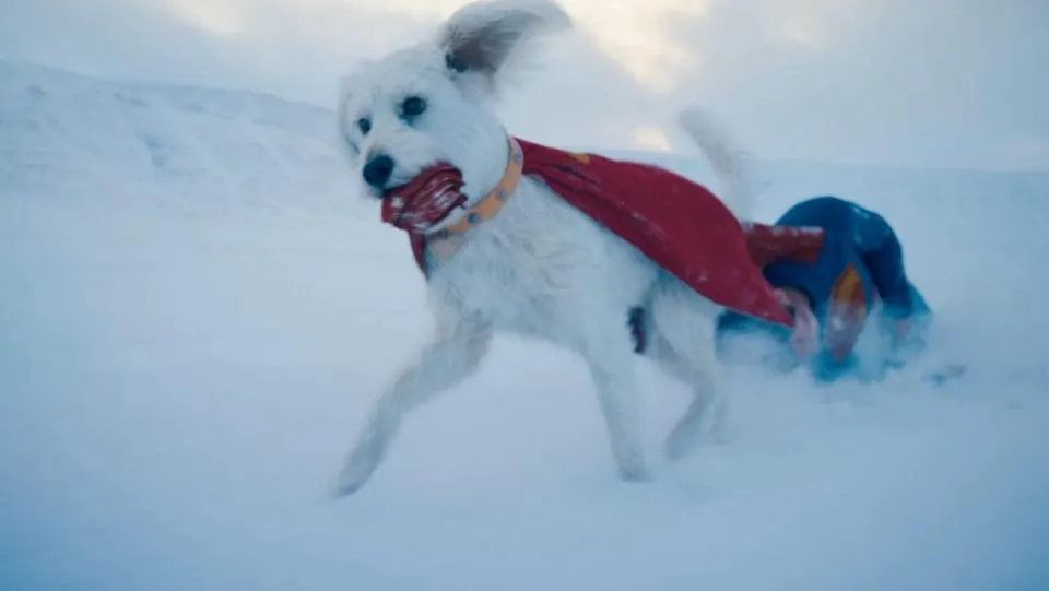 siêu thú cưng krypto của siêu anh hùng DC