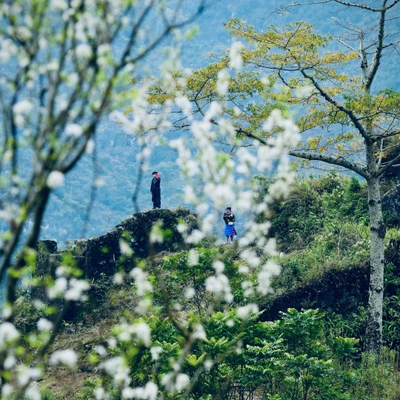 Khám phá vẻ đẹp mùa xuân ở Hà Giang.