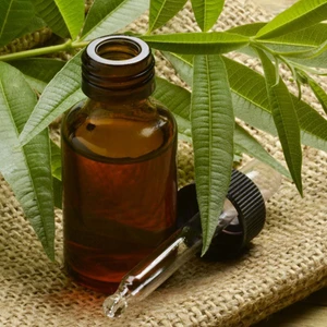 tinh dầu tràm trà tea tree oil
