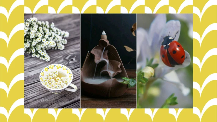 vật dụng trang trí may mắn cho không gian sống