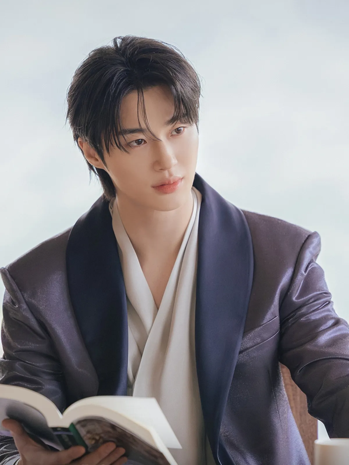 byeon woo seok trong vai đại quân lee ahn