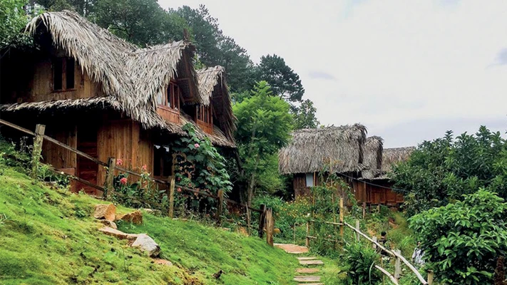 trang trại dành cho tháng 6