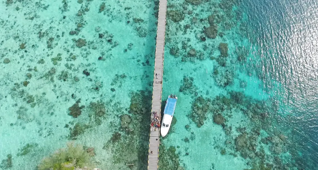 Togean-_-elleman4